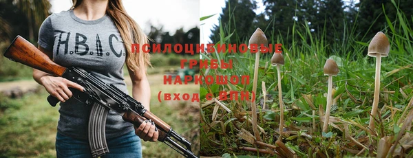 сатива Балабаново