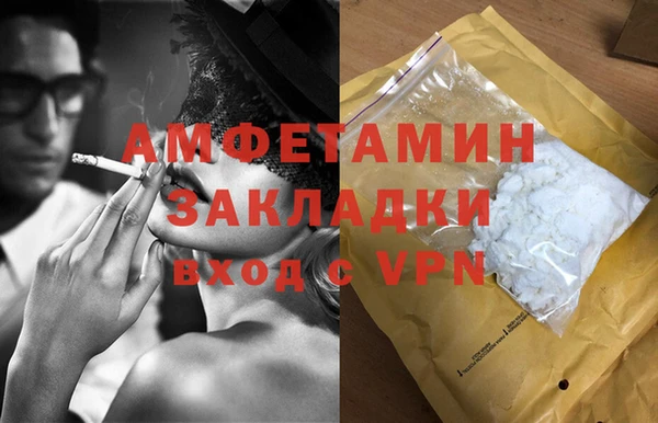 шишки Балахна